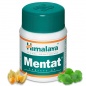  Himalaya Mentat 60 